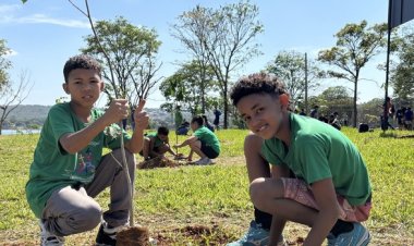 Bosque do Amanhã: programa do Governo de Minas mobiliza crianças no plantio de mais de 12 mil mudas em 2025